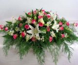 �Ϻ��ʻ��ٵ�